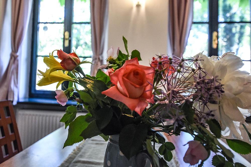 Apartmán Dům v zahradě Písek Exteriér fotografie